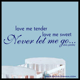 Love Me TENDER, Love Me Sweet, NEVER Let Me Go, Elvis Presley Lyrics Vinyl Wall Decal